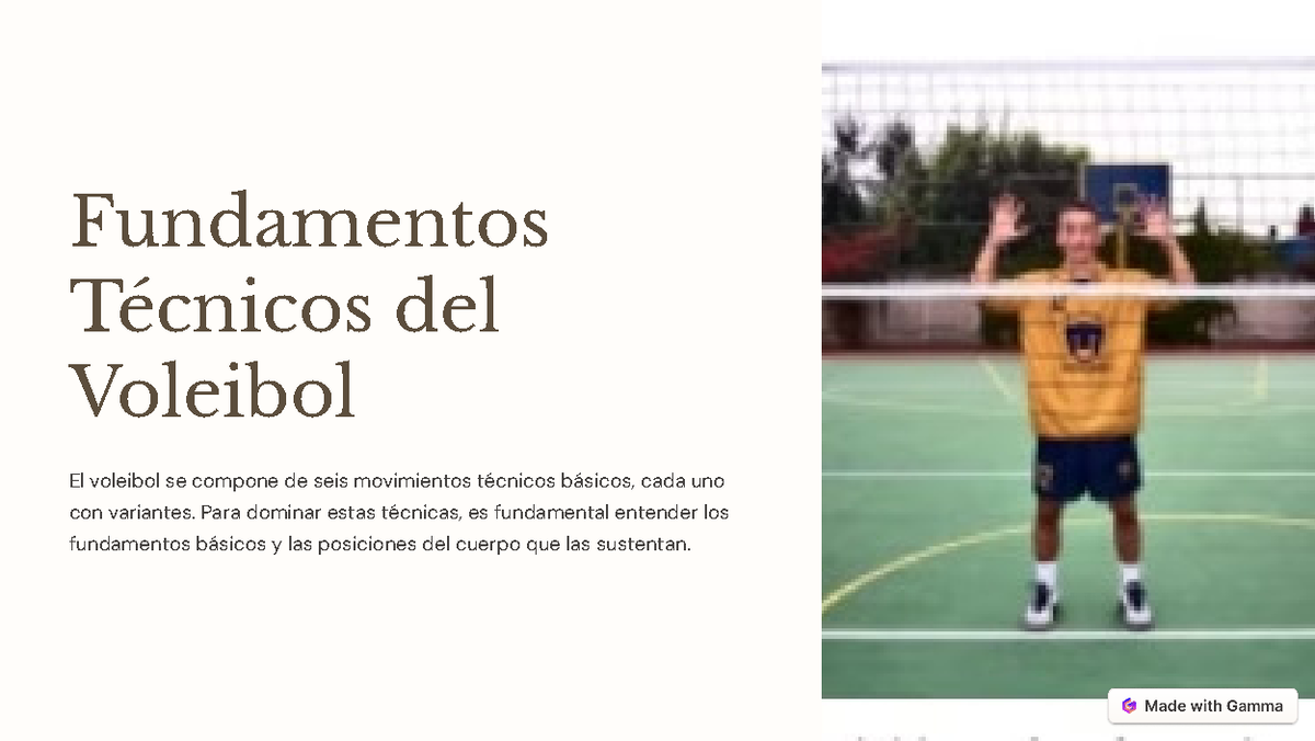 Fundamentos Técnicos del Voleibol: Dominio de Posiciones y Movimientos