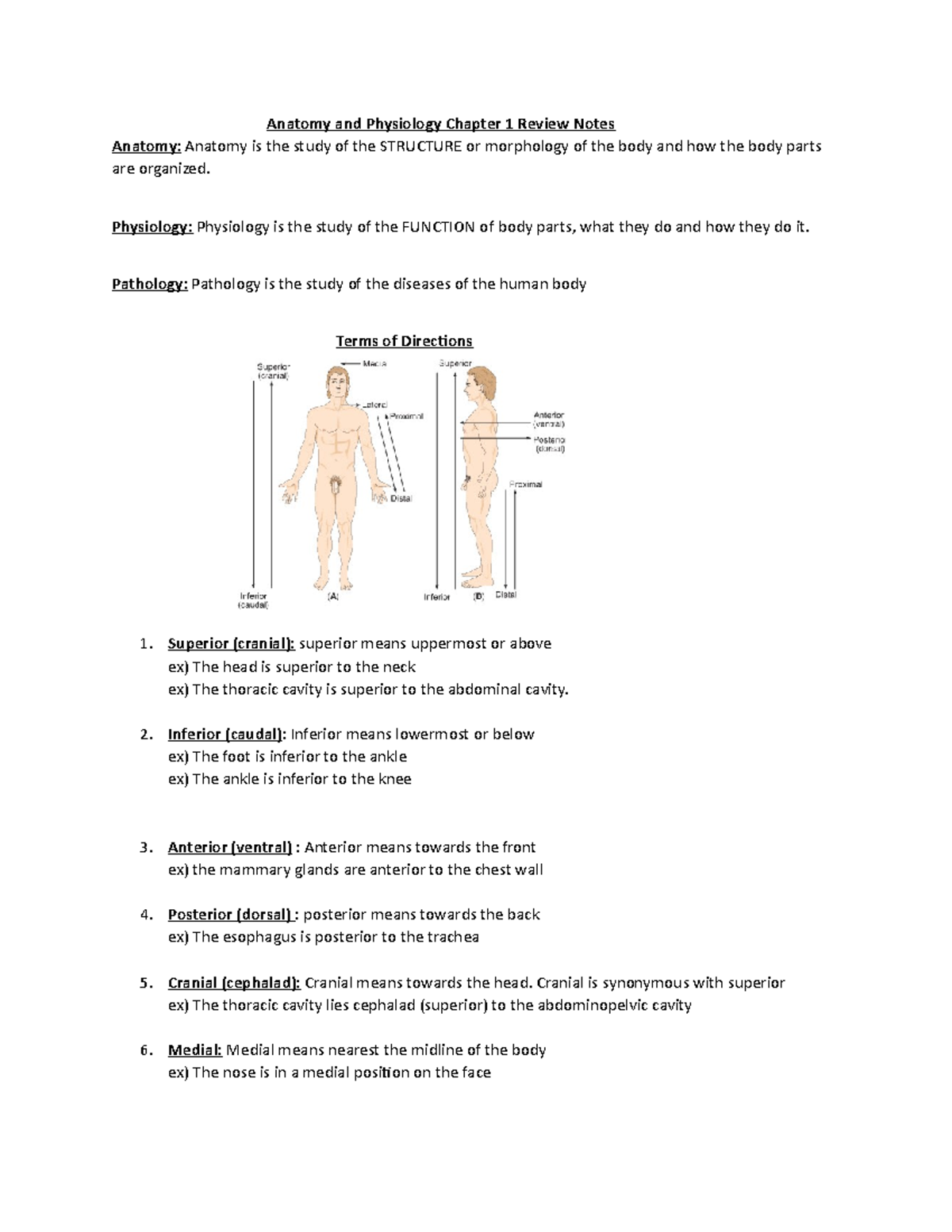 Anatomy and Physiology CH1: Structure, Function, and Systems Overview ...