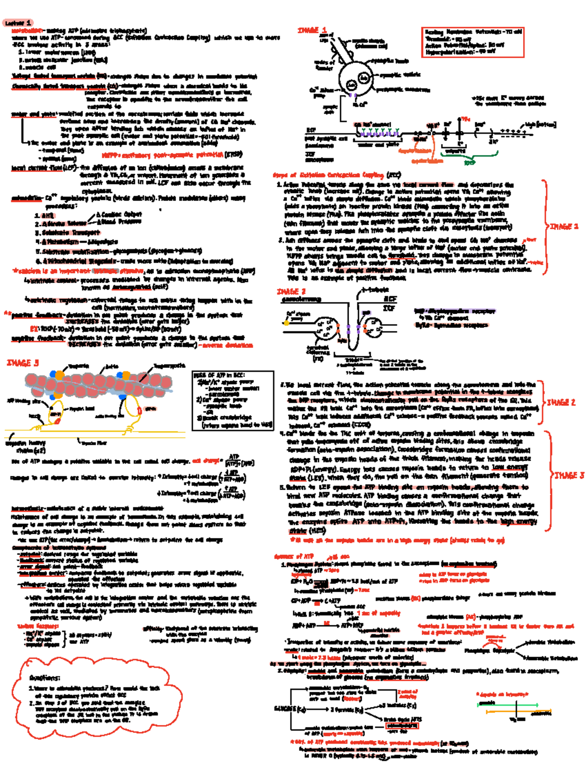 Final Exam Study Guide for Course XYZ 101: Key Topics and Tips ...
