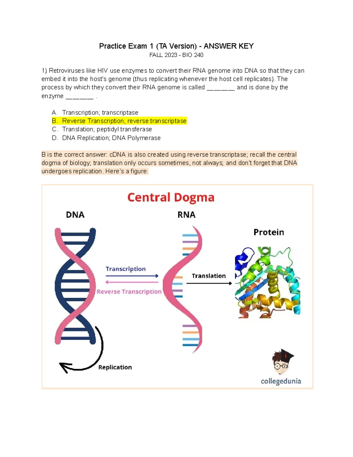 Genetic Code Worksheet - Gene Expression, Exercise Using the