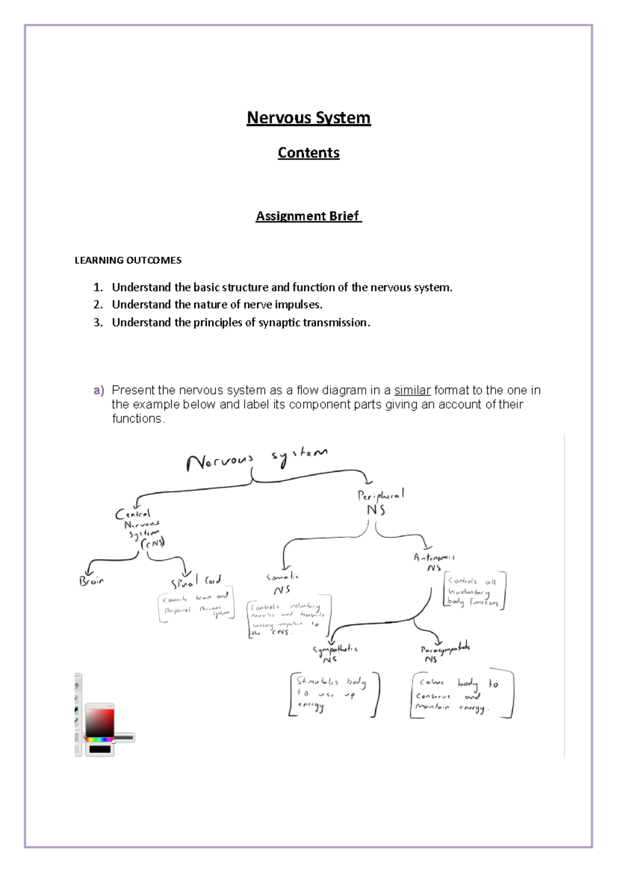 Nervous System Overview and Functions - A Study Guide (BIO 101) - Studocu