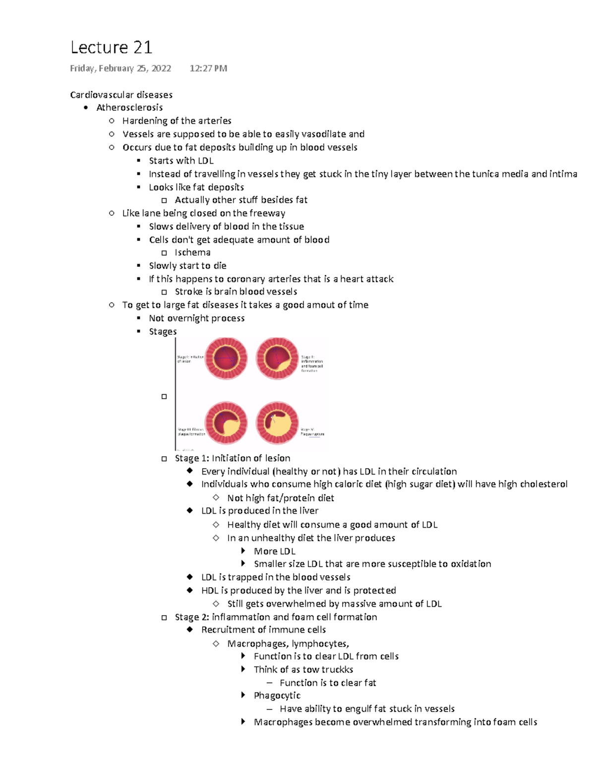 Phy sci 5 lecture 21 notes - Cardiovascular diseases Atherosclerosis ...