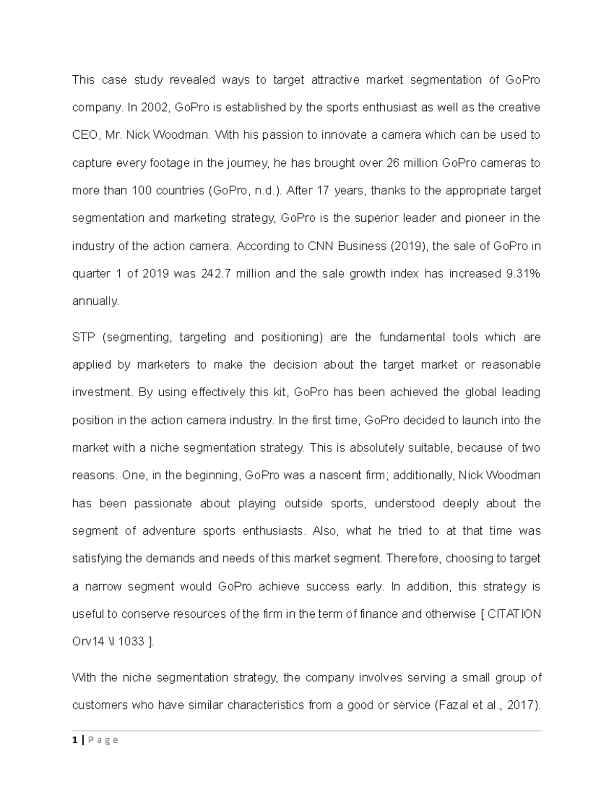 Case Study: GoPro's Niche Market Segmentation Strategy - Assignment 1 ...
