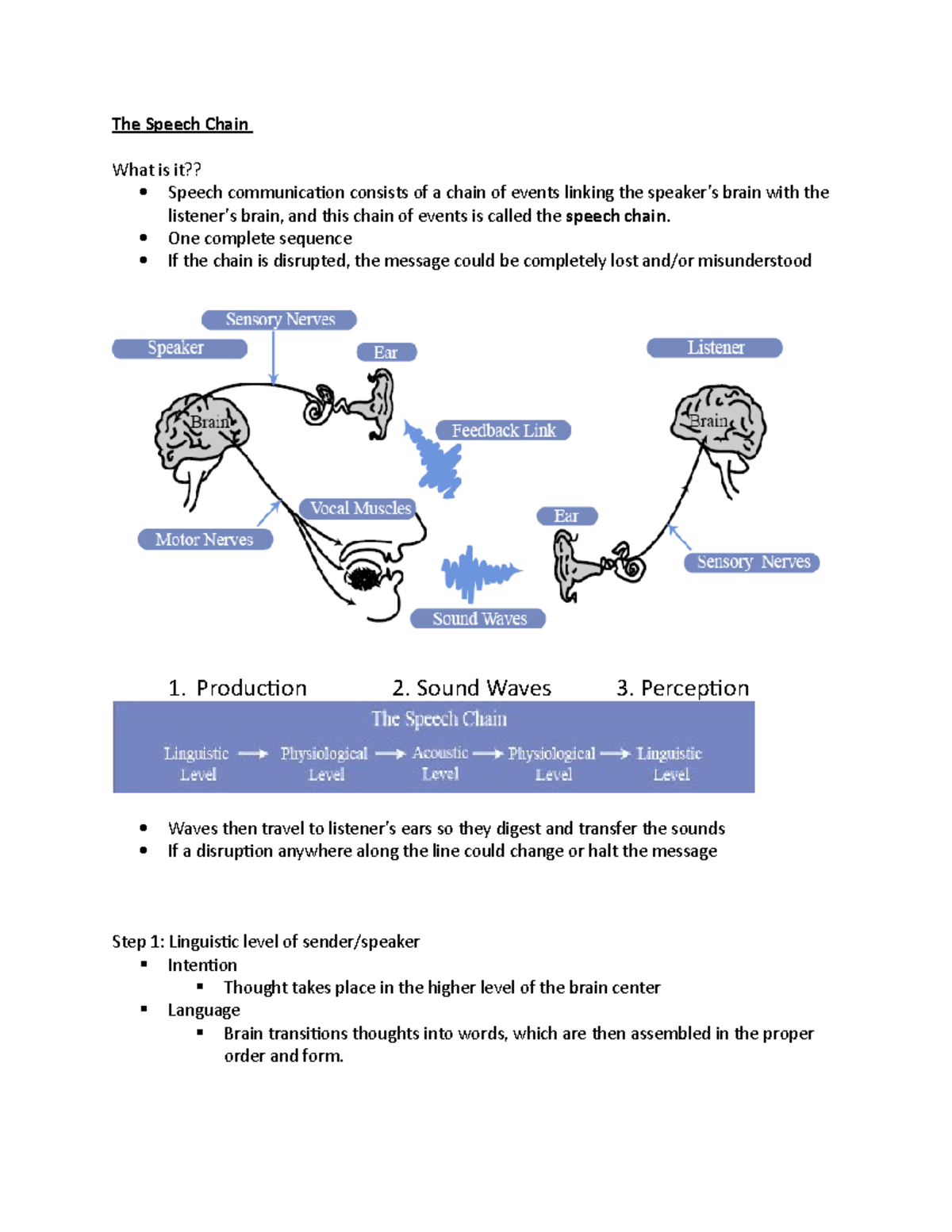 Understanding the Speech Chain: A Communication Overview - Studocu
