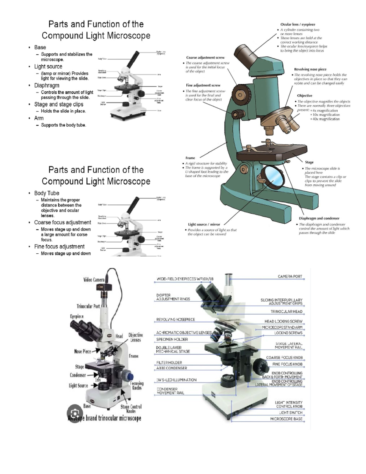 12 Parts Of Microscope And Their Functions