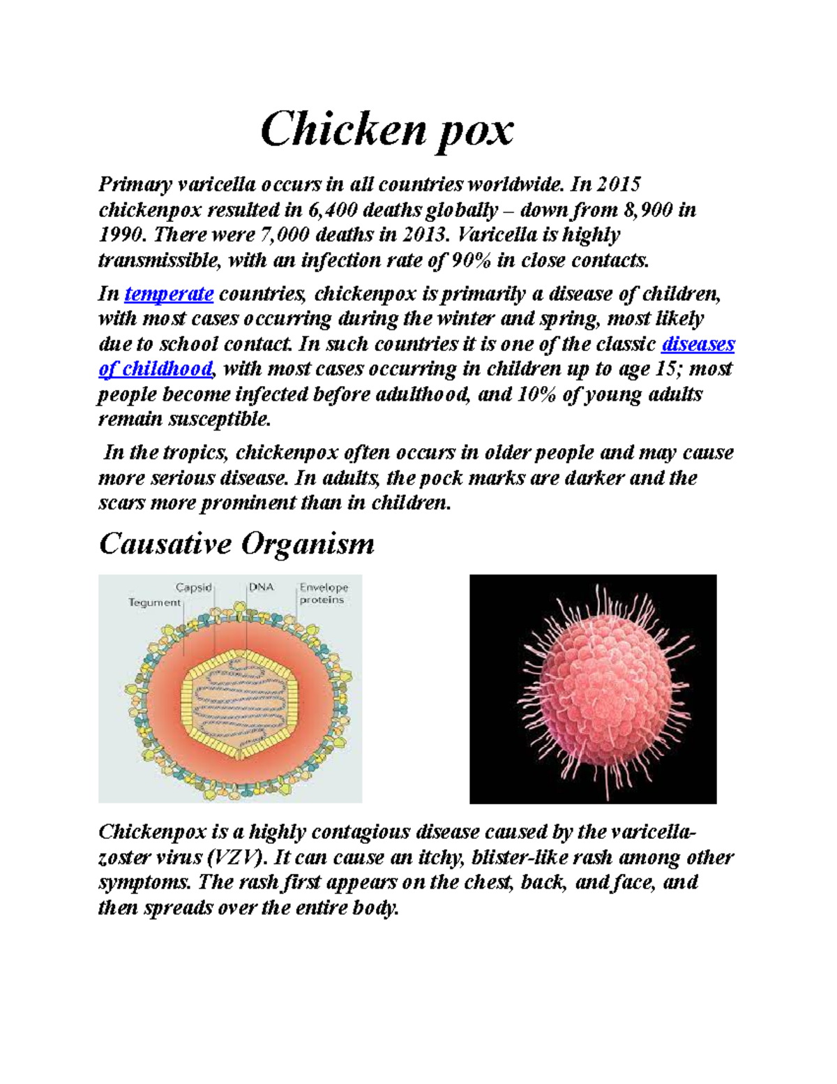Chickenpox Overview: Causes, Transmission, and Prevention Insights ...