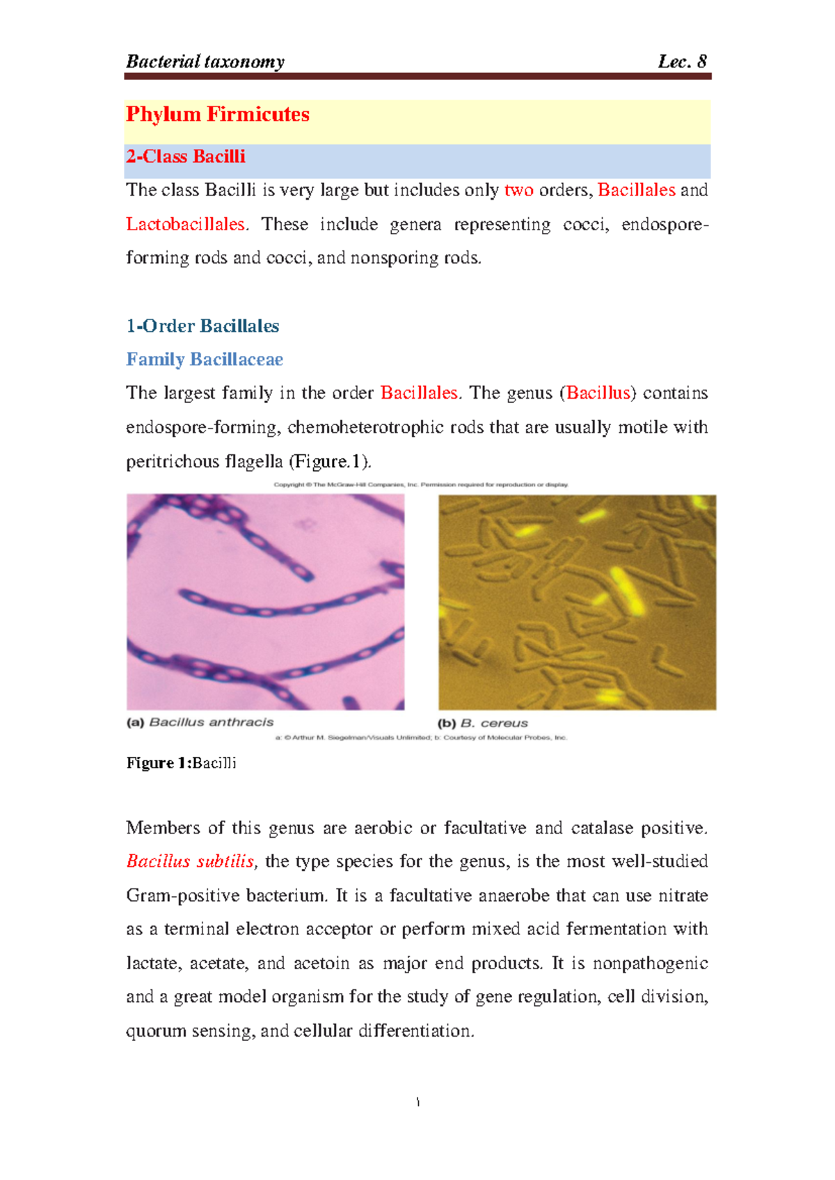 Bacterial Taxonomy 8 - Phylum Firmicutes 2-Class Bacilli The class ...