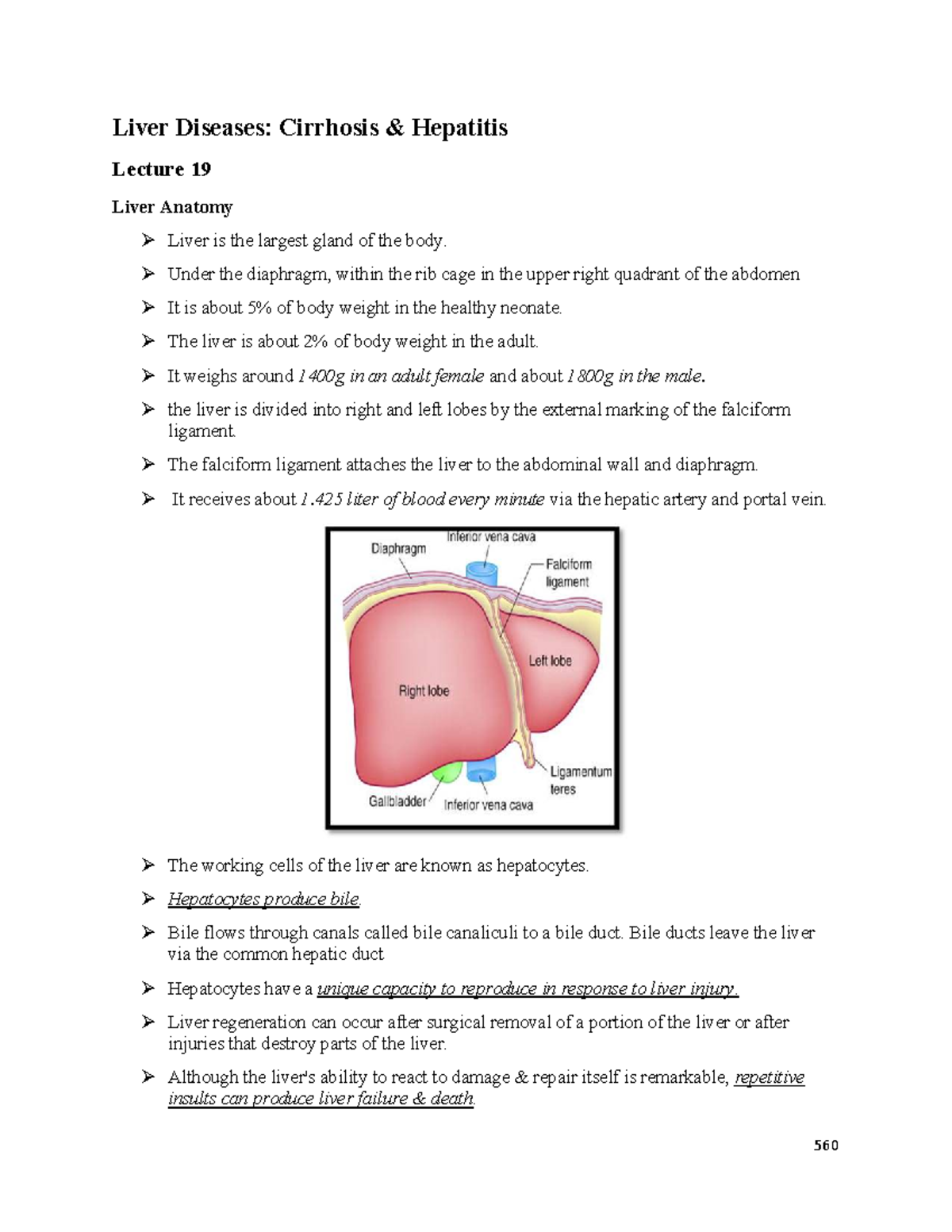 Lecture+19+Liver+Diseases+Cirrhosis+&+Hepatitis - Liver Diseases ...
