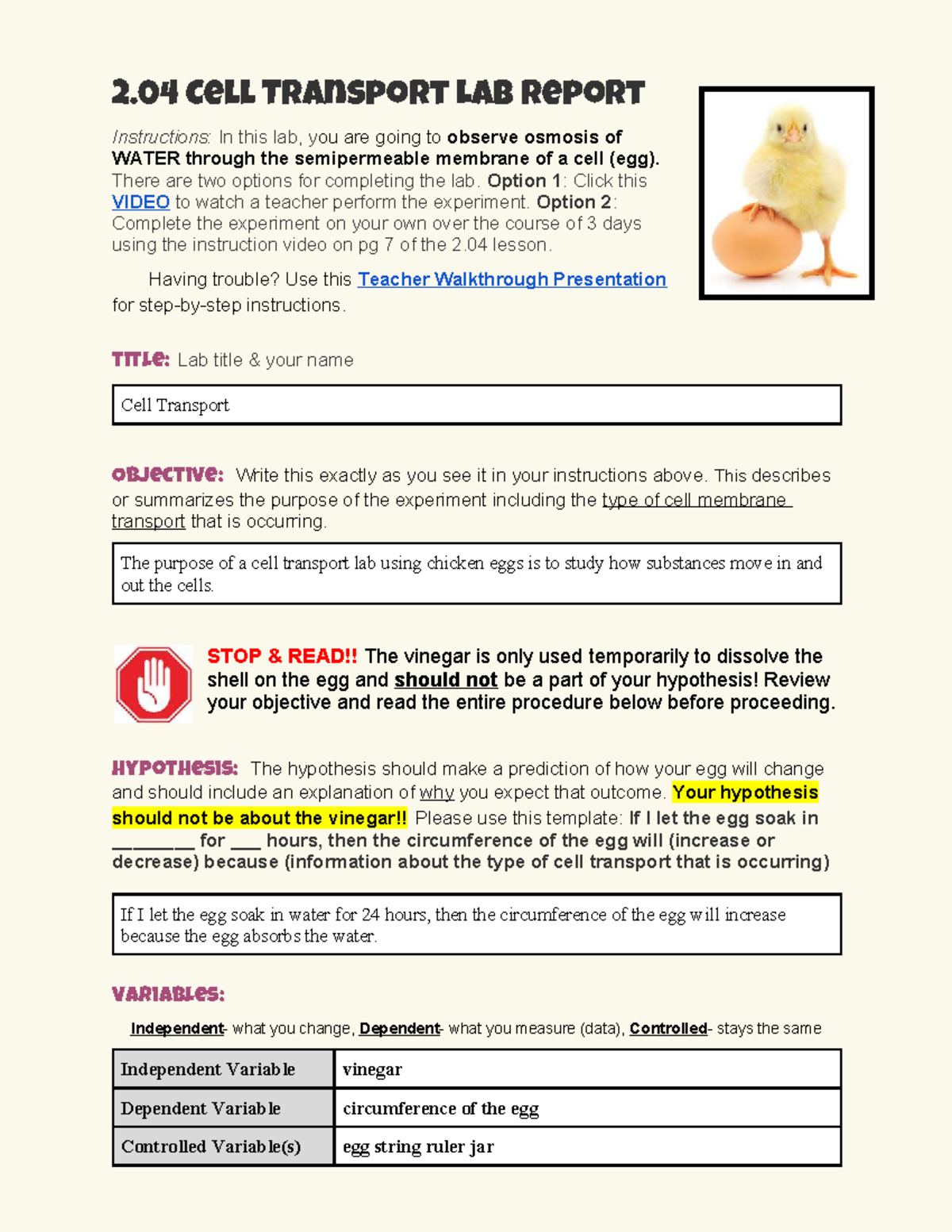 Copy of 2 04 Lab Report Template-v23 - 2 Cell Transport Lab Report ...
