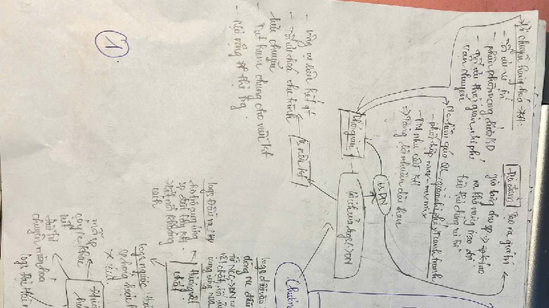 Final Exam Notes on Grain Logistics and Management (Course Code: KN ...