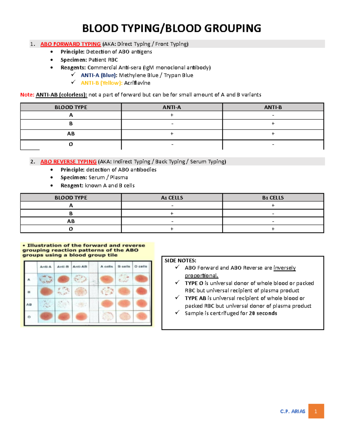 Blood Typing Review Guide - Ensure Success! - Studocu