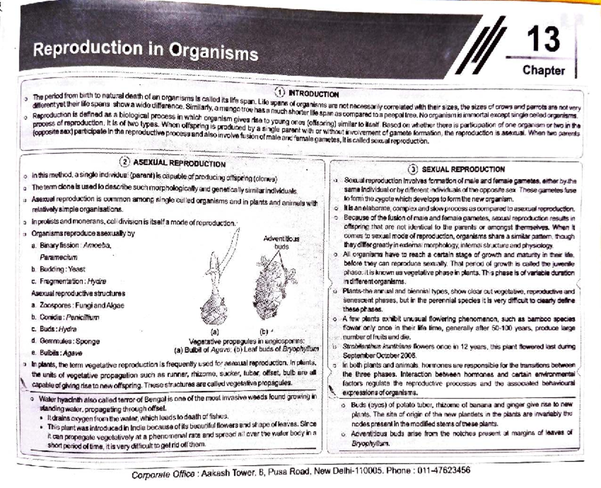 Class 12 CBSE Biology - Reproduction in Organisms Short Notes 2026 ...
