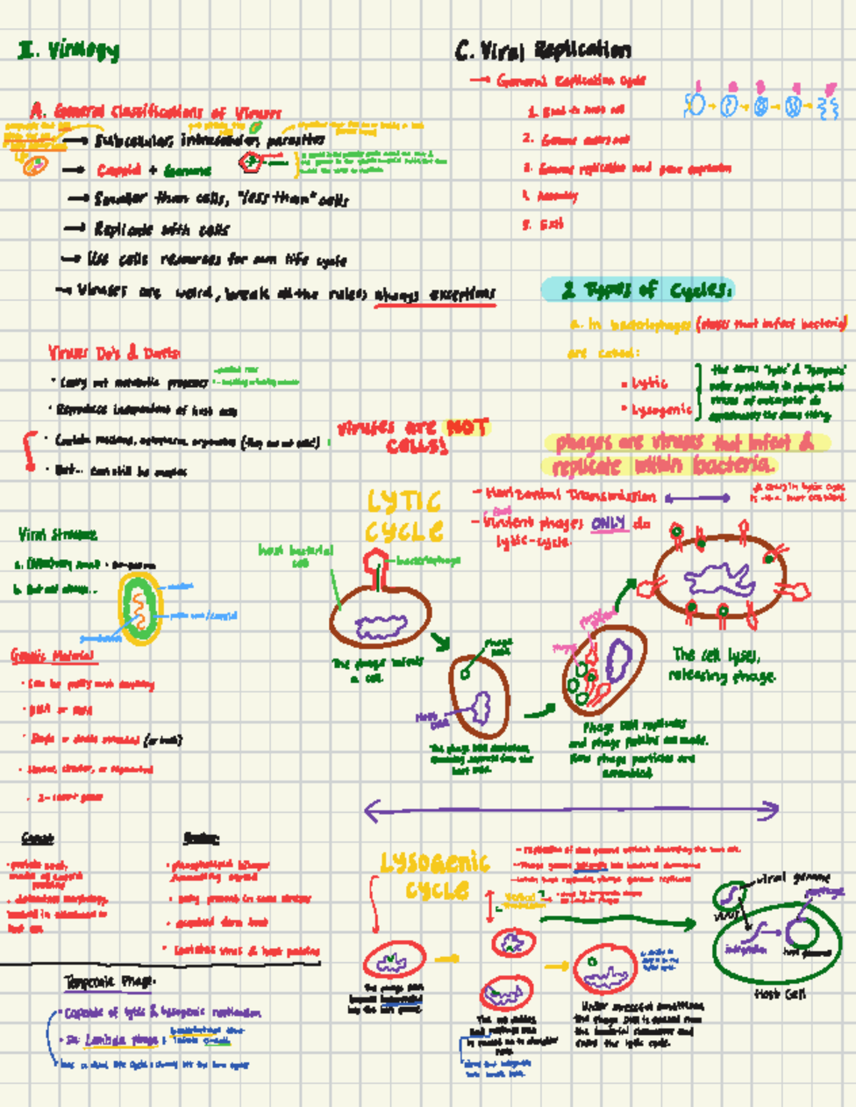 Virology Lecture Notes: Viral Replication and Cycles - Studocu