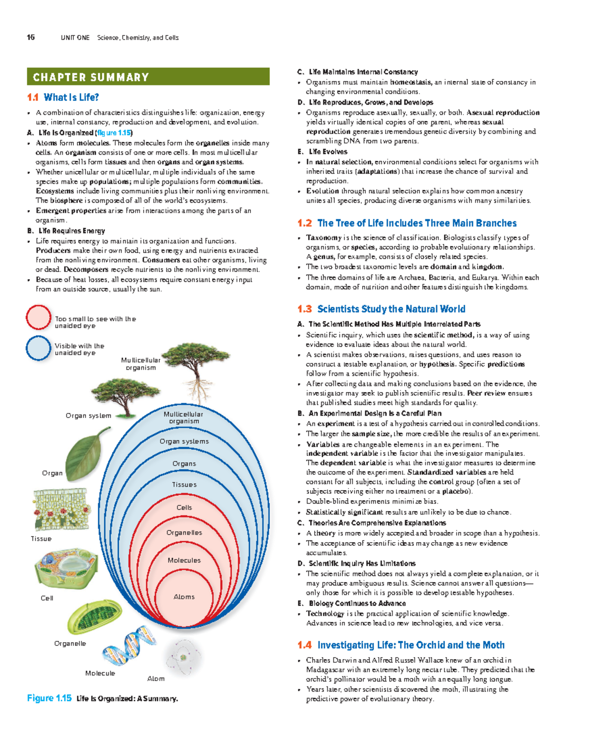 Biology 101: Chapter 1 Review - Key Concepts and Investigations - Studocu