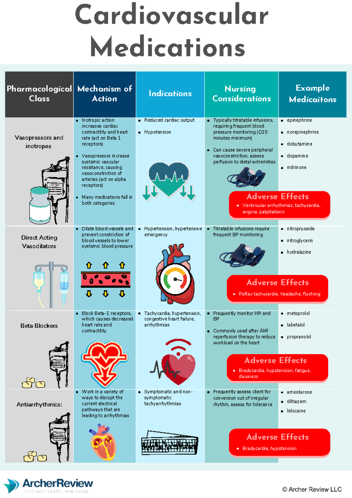 Cardiovascular Medications Cheatsheet: Pharmacological Actions ...