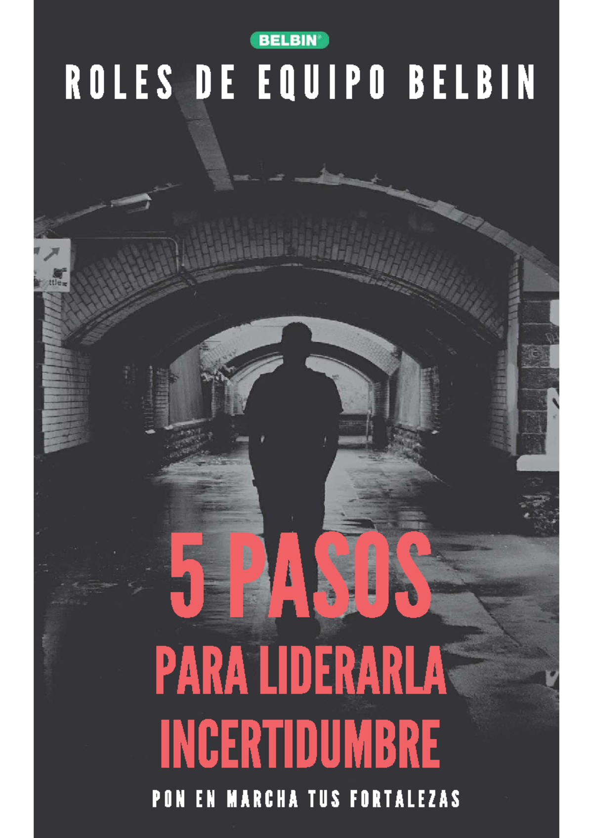 5 Pasos para Liderar la Incertidumbre: Estrategias de Belbin - Studocu