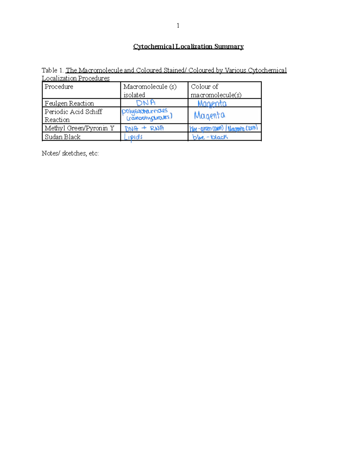 Cytochemical Localization Summary Table for Macromolecules - Studocu