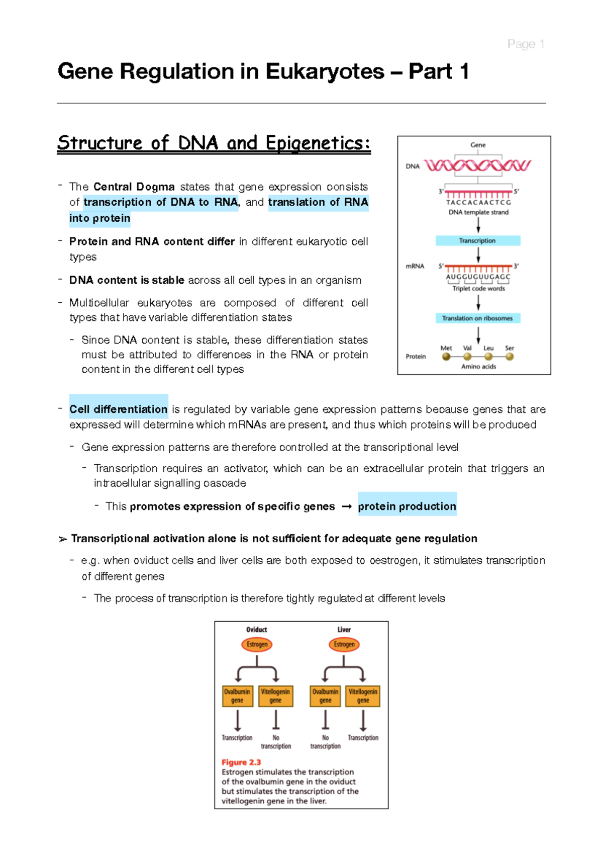 Genetics and Developmental Biology Block 3 Notes - Gene Regulation in ...
