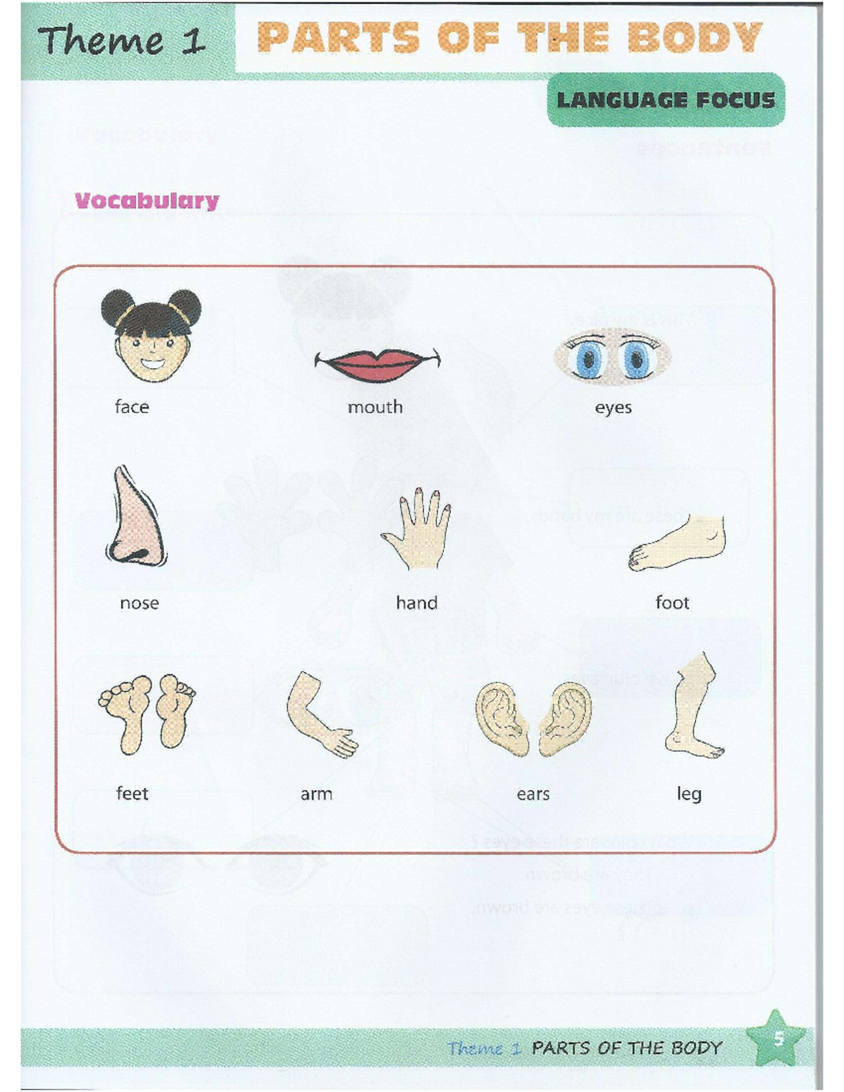 Theme 1: Parts of the Body Vocabulary & Exercises - Studocu