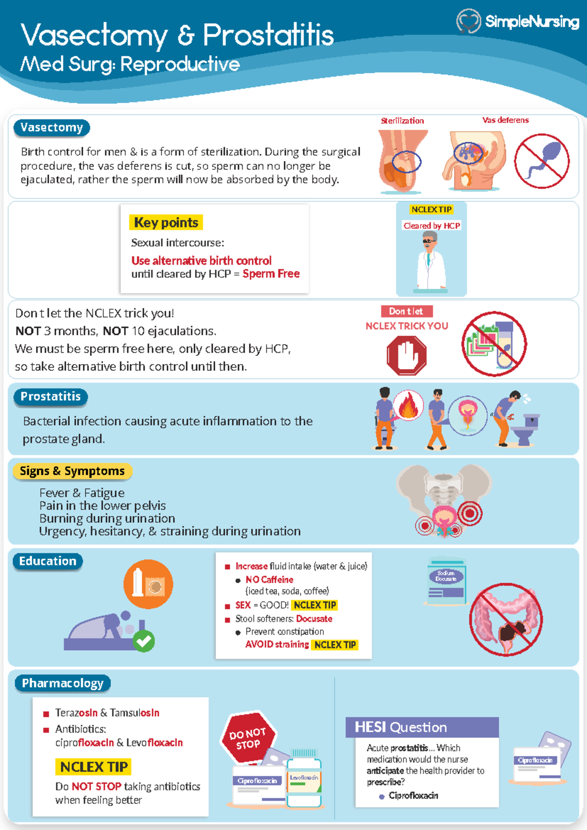 Prostatitis Med Surg NCLEX Study Guide: Key Points & Tips - Studocu