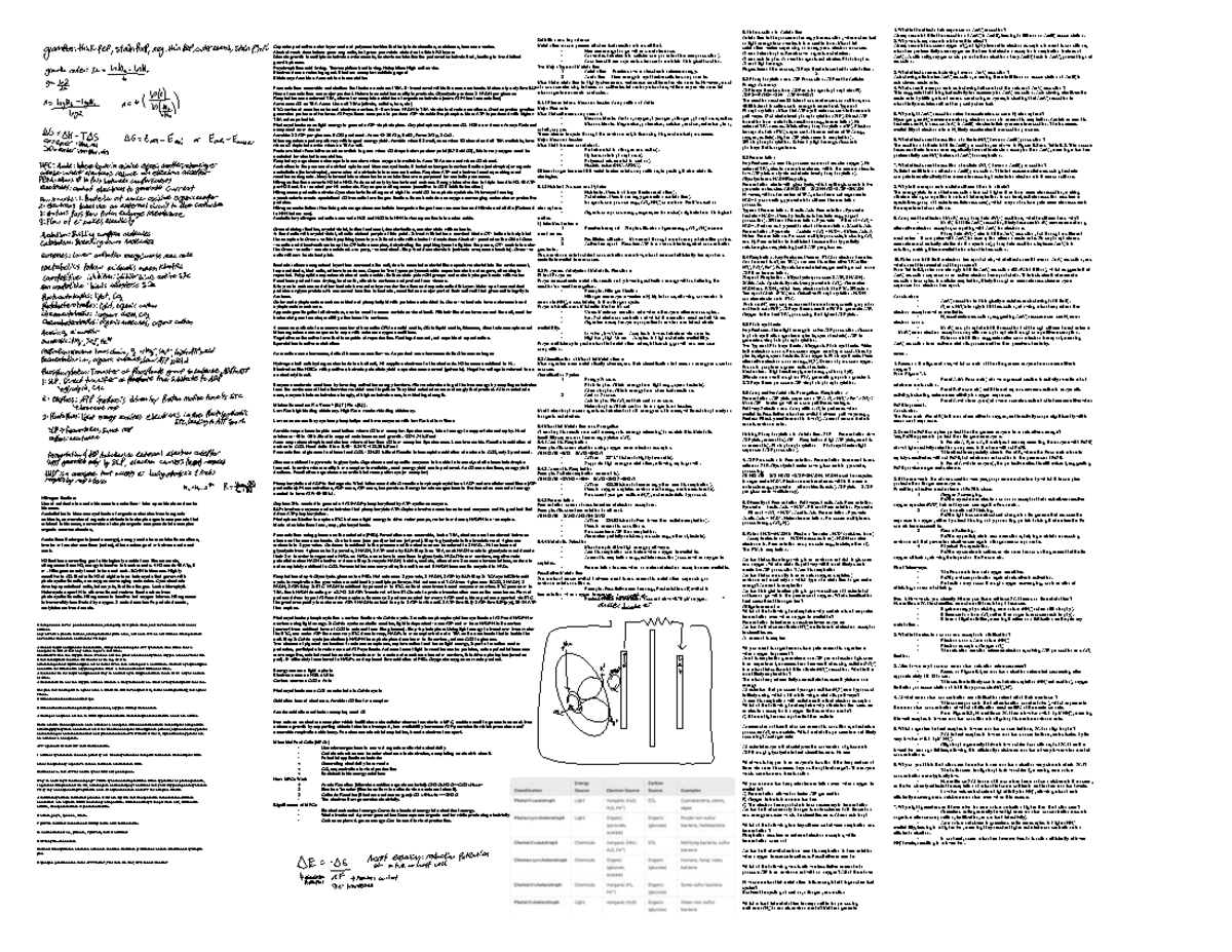 Final Exam Study Sheet for Microbial Metabolism (BIO 101) - Studocu