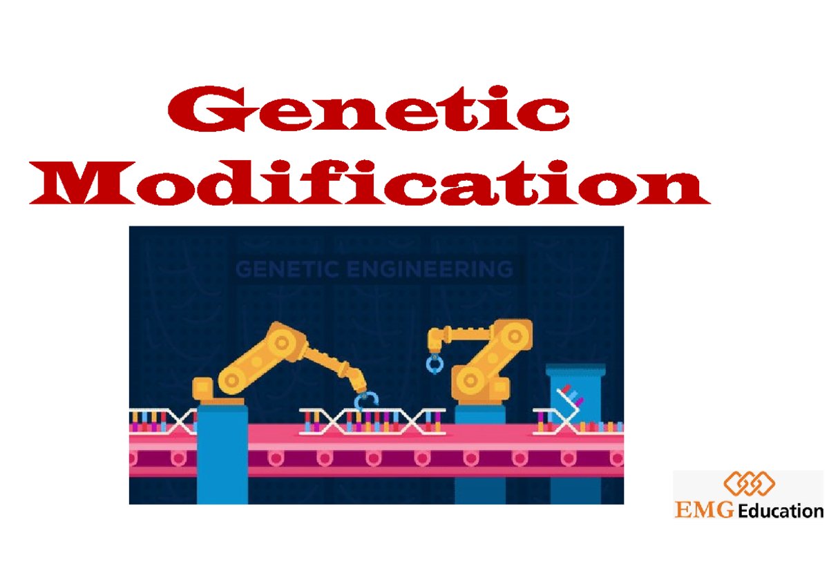 PPT - Genetic Modification Overview and Key Concepts - Studocu