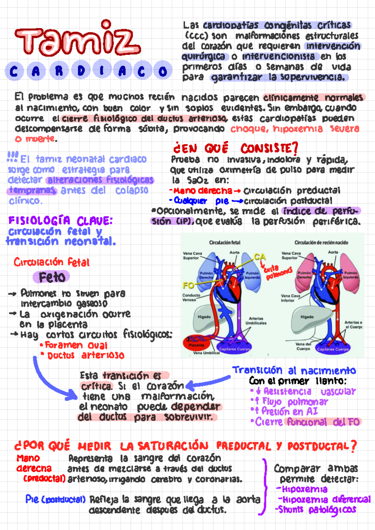 Tamiz Cardíaco: Estrategias para Detectar Cardiopatías Críticas - Studocu