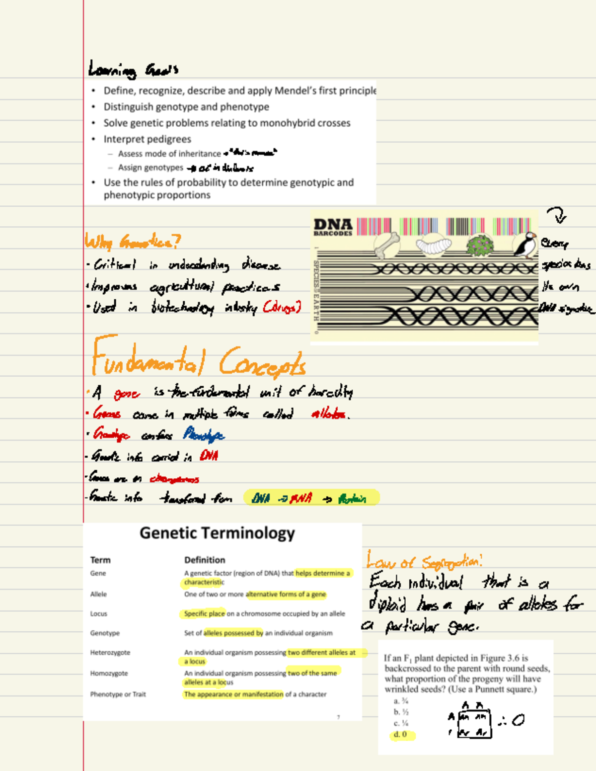 MBG Lecture 1 - Learning Goals > * that is recessive > of individuals I ...