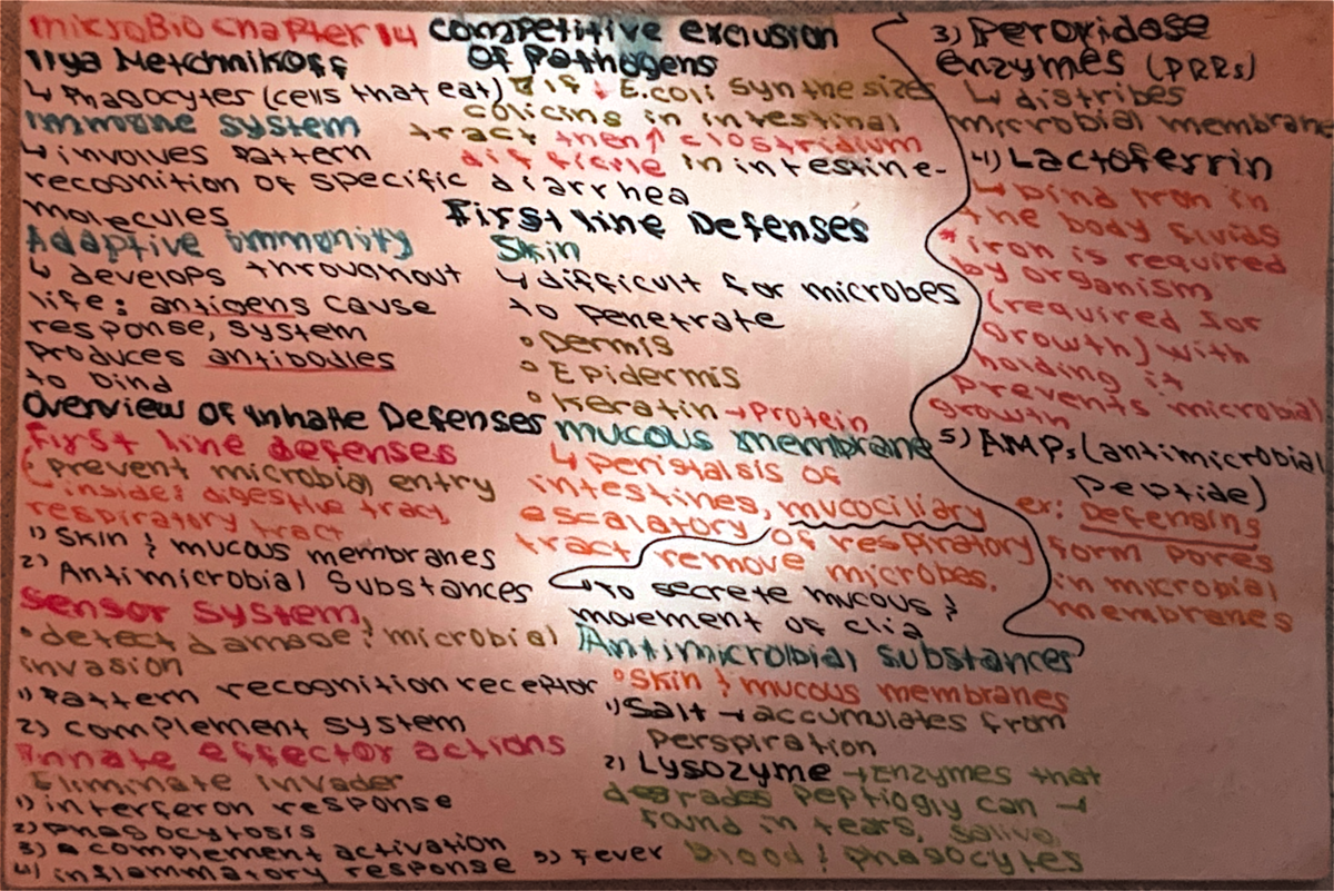 Final Exam Study Guide for Psychology 101 - Key Concepts and Theories ...