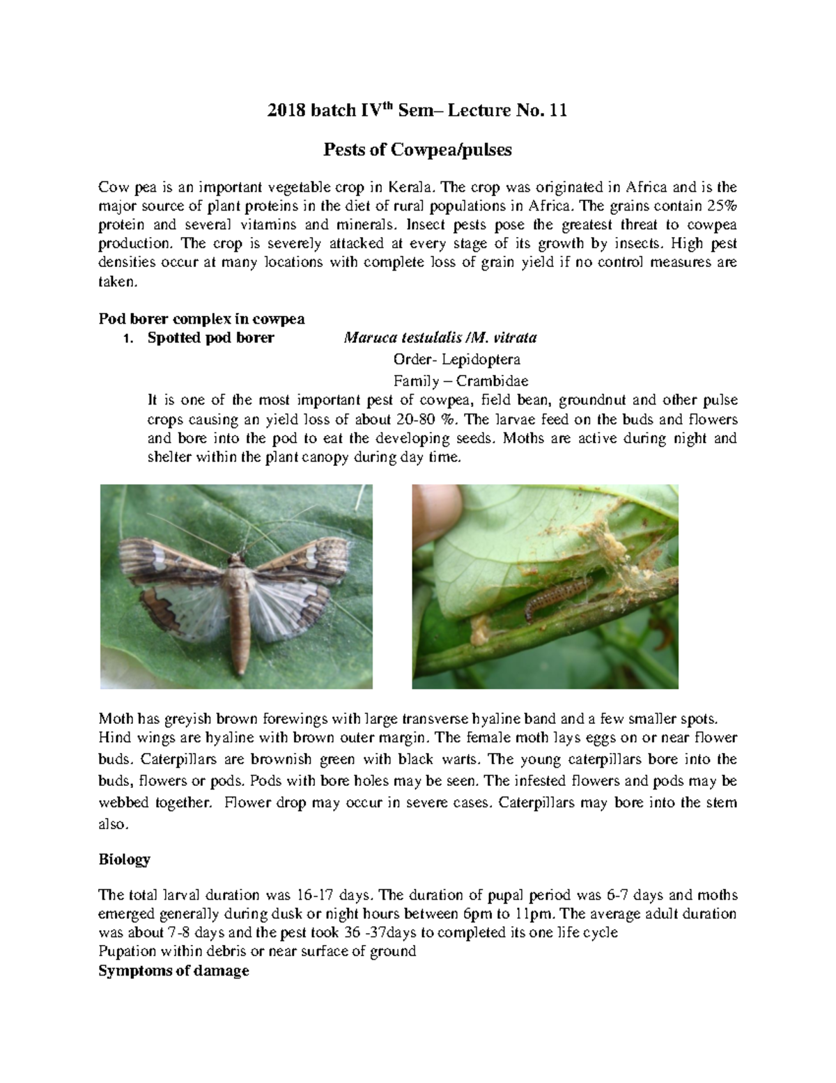 Pests of Pulses & Management Practices - Lecture No. 11 (2018 IV SEM ...