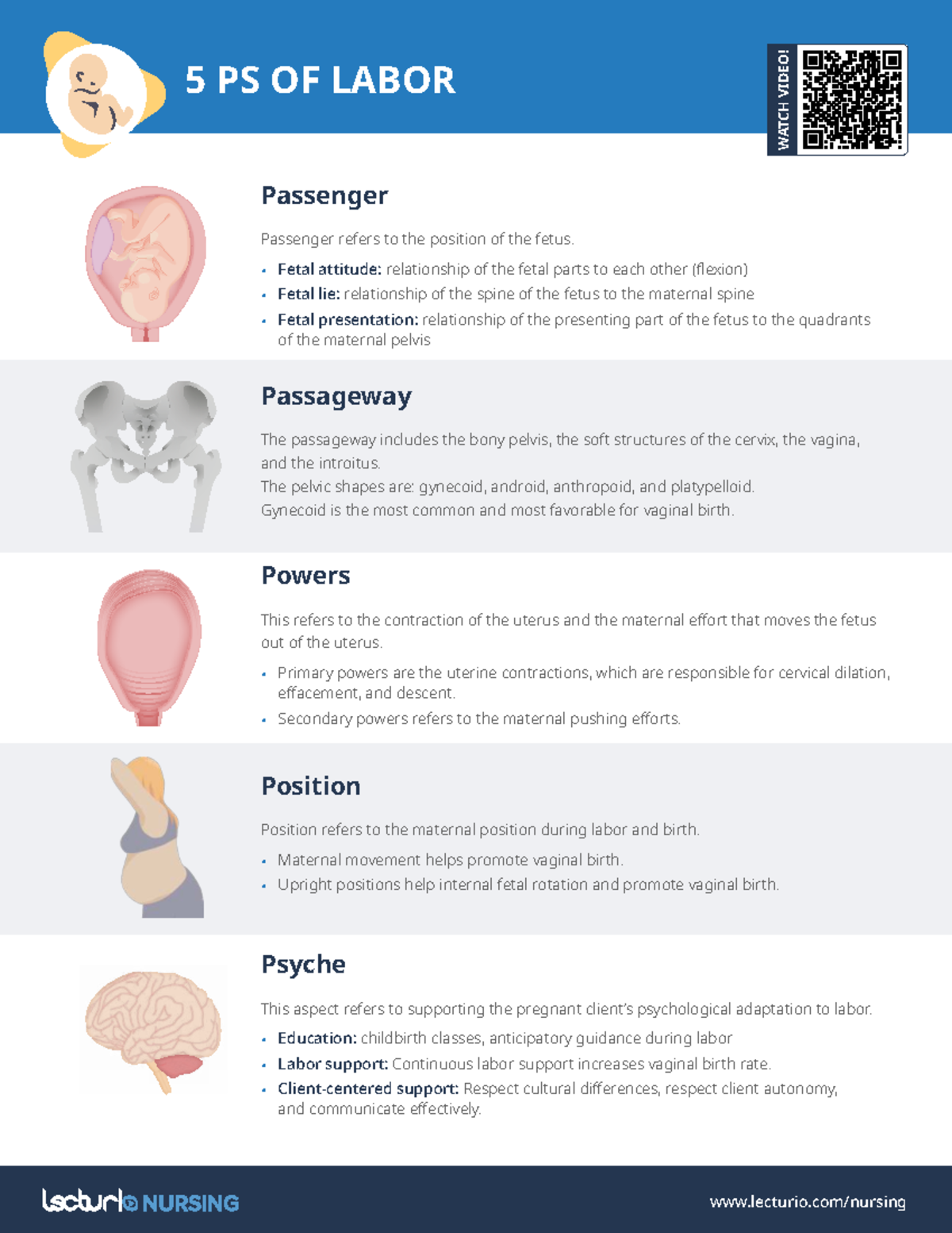 Labor and Delivery: Understanding the 5 Ps of Birth - Studocu