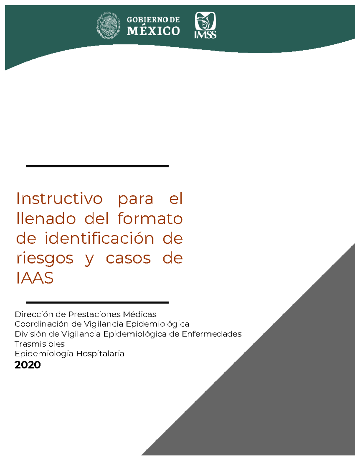 Instructivo para el Llenado del Formato de Identificación de IAAS - Document Preview