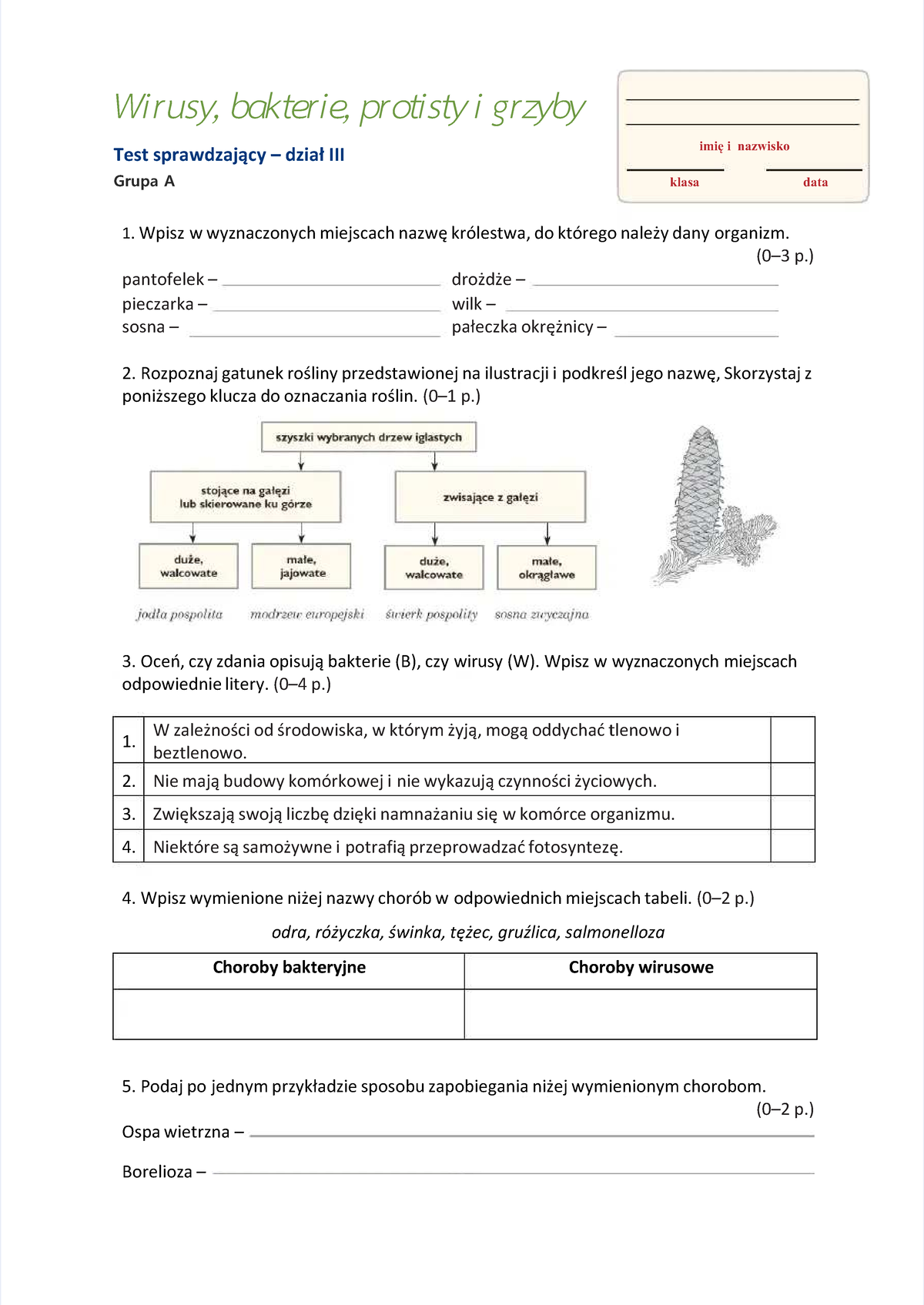 Test sprawdzający: Wirusy, Bakterie, Protisty i Grzyby - Klasa 5 - Studocu