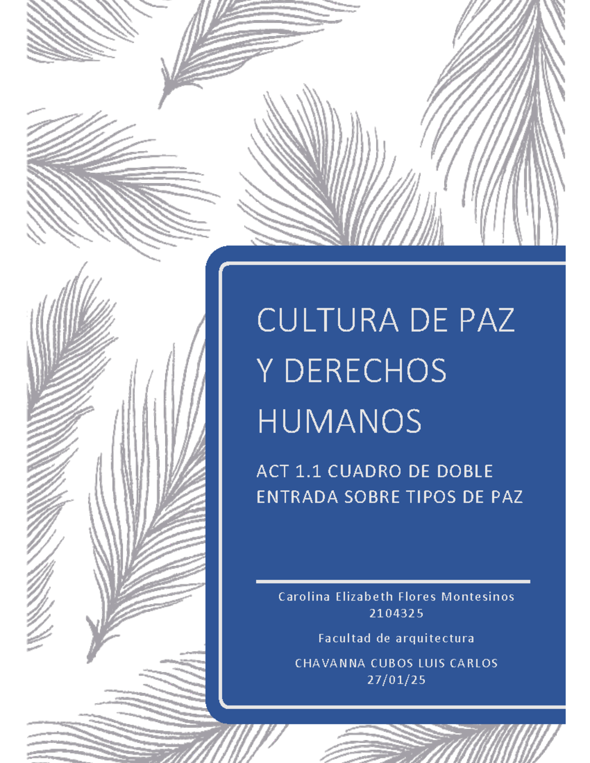 Act 1.1 Cuadro de doble entrada - CULTURA DE PAZ Y DERECHOS HUMANOS ACT ...