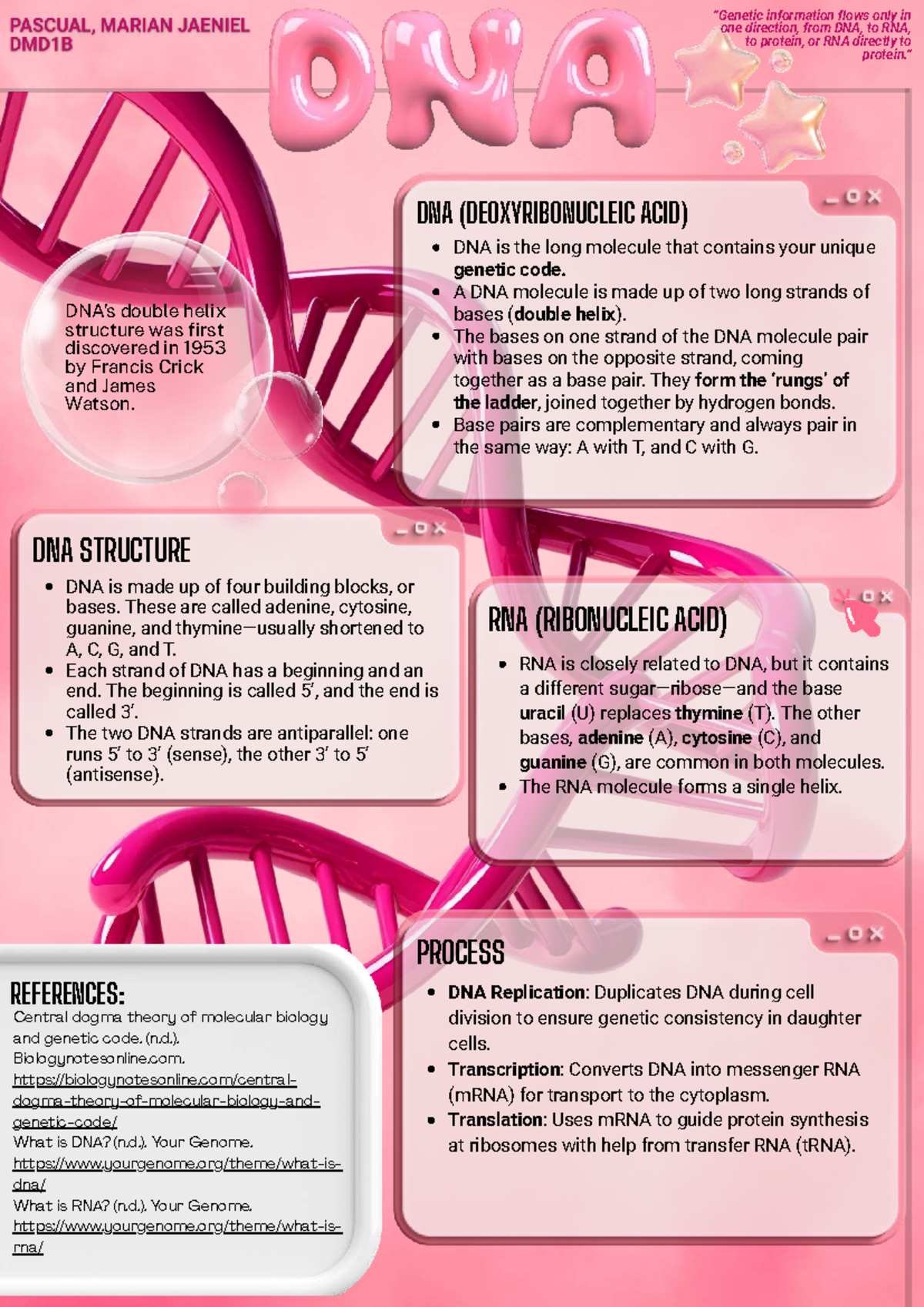 DNA Structure and Function: An Infographic Overview - Studocu