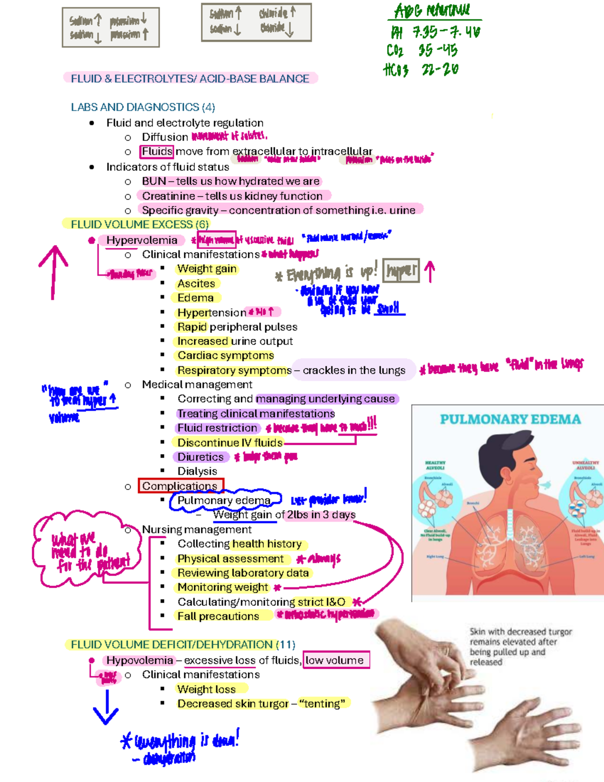 Med Surg Exam 4 Study Guide: Fluid & Electrolyte Balance, ABGs, and ...
