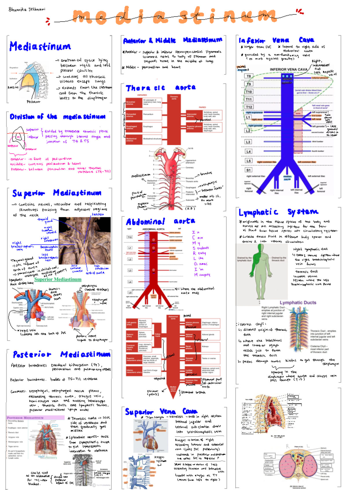 Anatomy of the mediastinum - ####### Bhumika Tethnani i. emma .at# ...