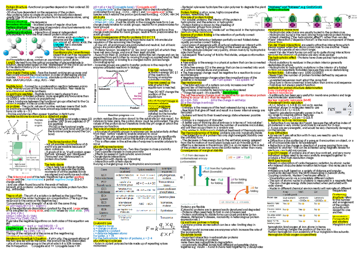 BIO203 Midterm Notes: Overview of Protein Structure and Function - Studocu