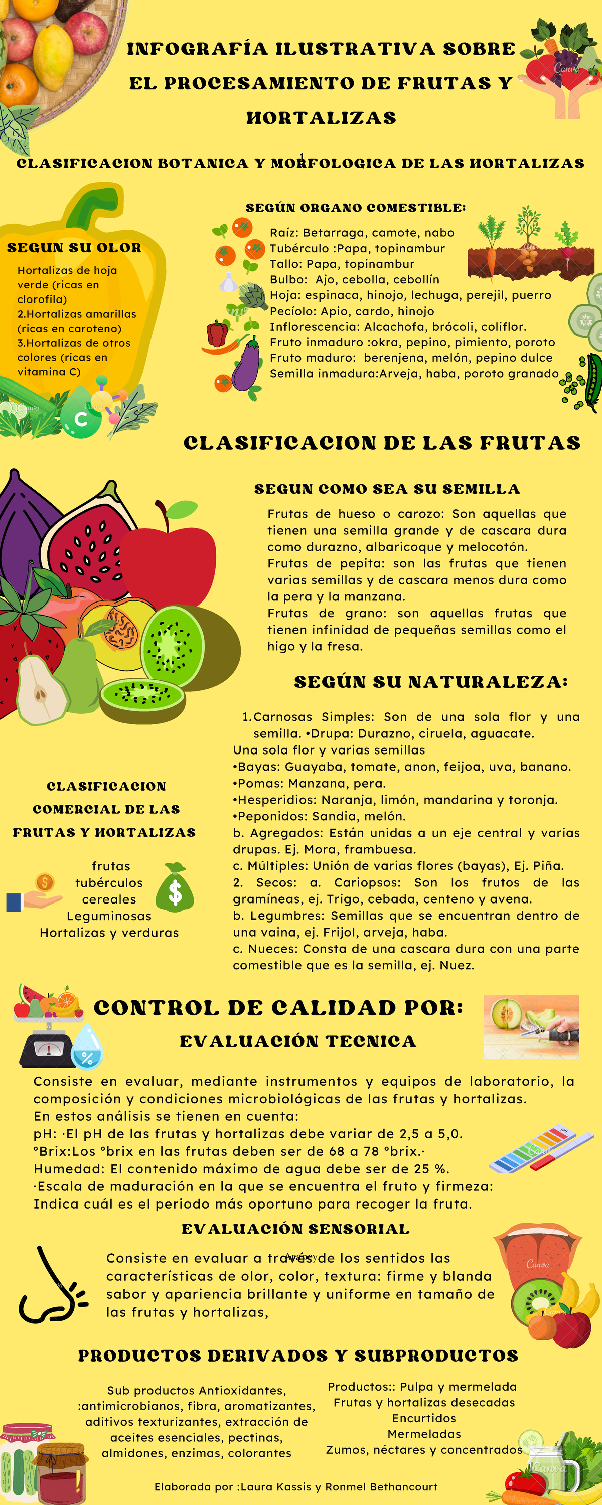 Infografía sobre el Procesamiento y Clasificación de Frutas y ...