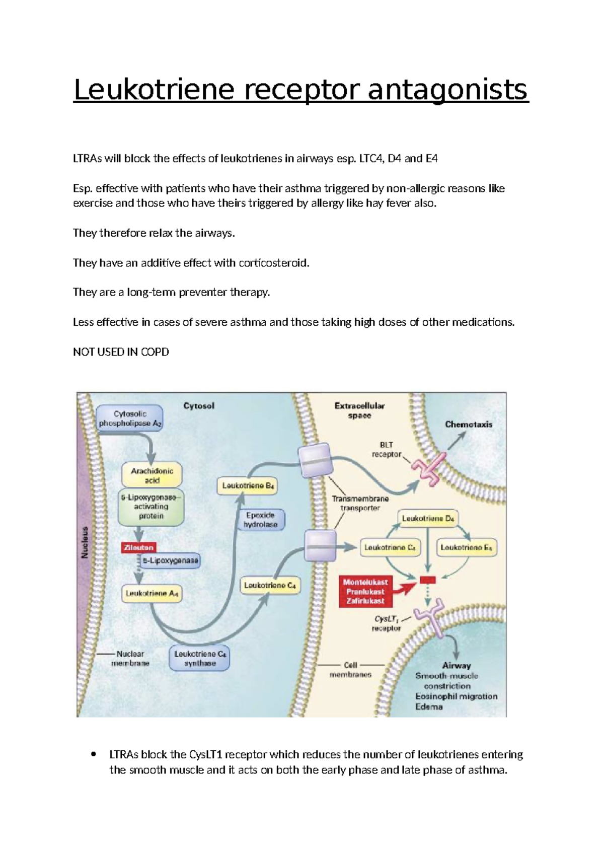 Leukotriene Receptor Antagonists (LTRAs) in Asthma Management ...
