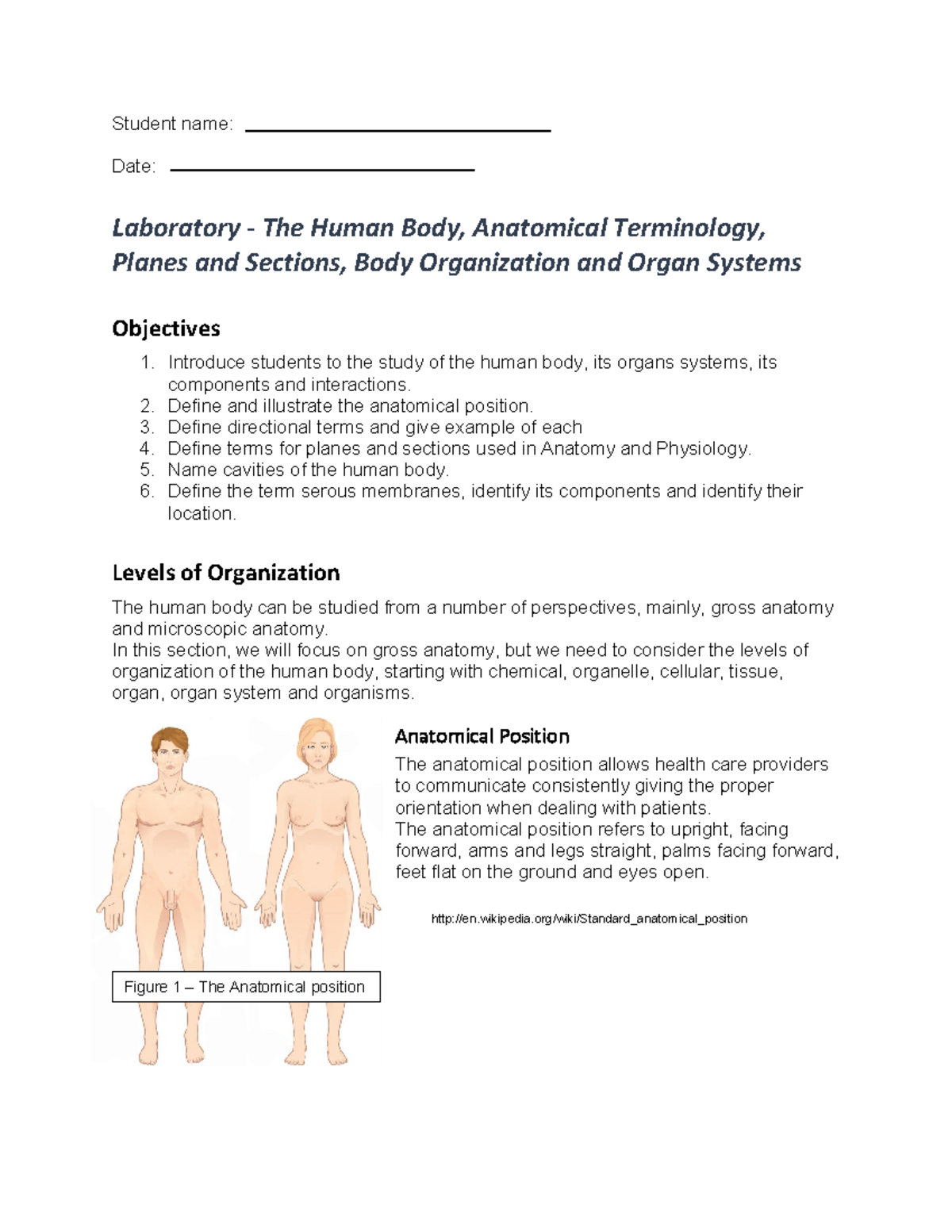 Lab1 Worksheet: Anatomical Position & Body Organization (2024-1) - Studocu