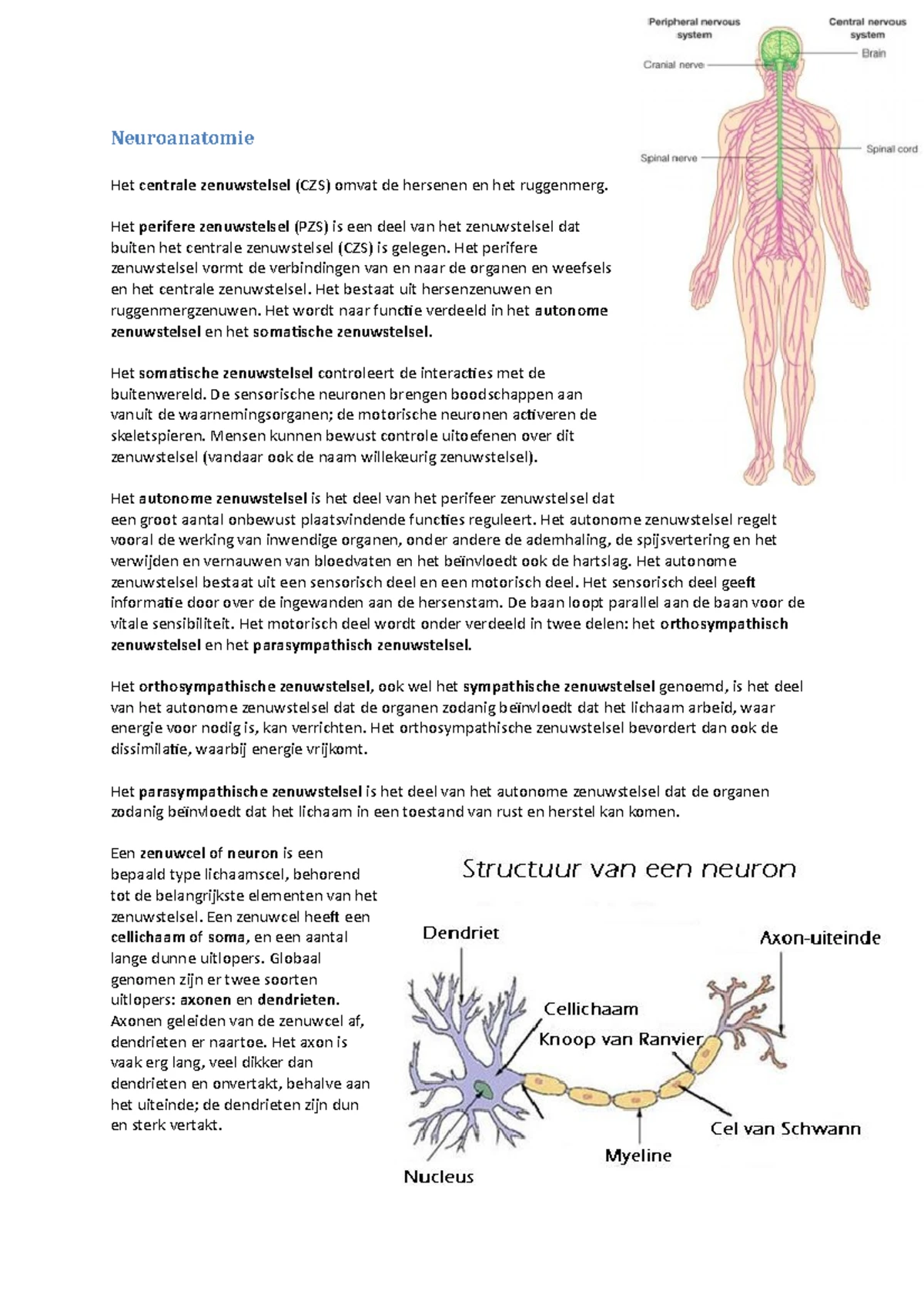 Functionele anatomie Vorstenbosch - De schedel De schedel of het ...