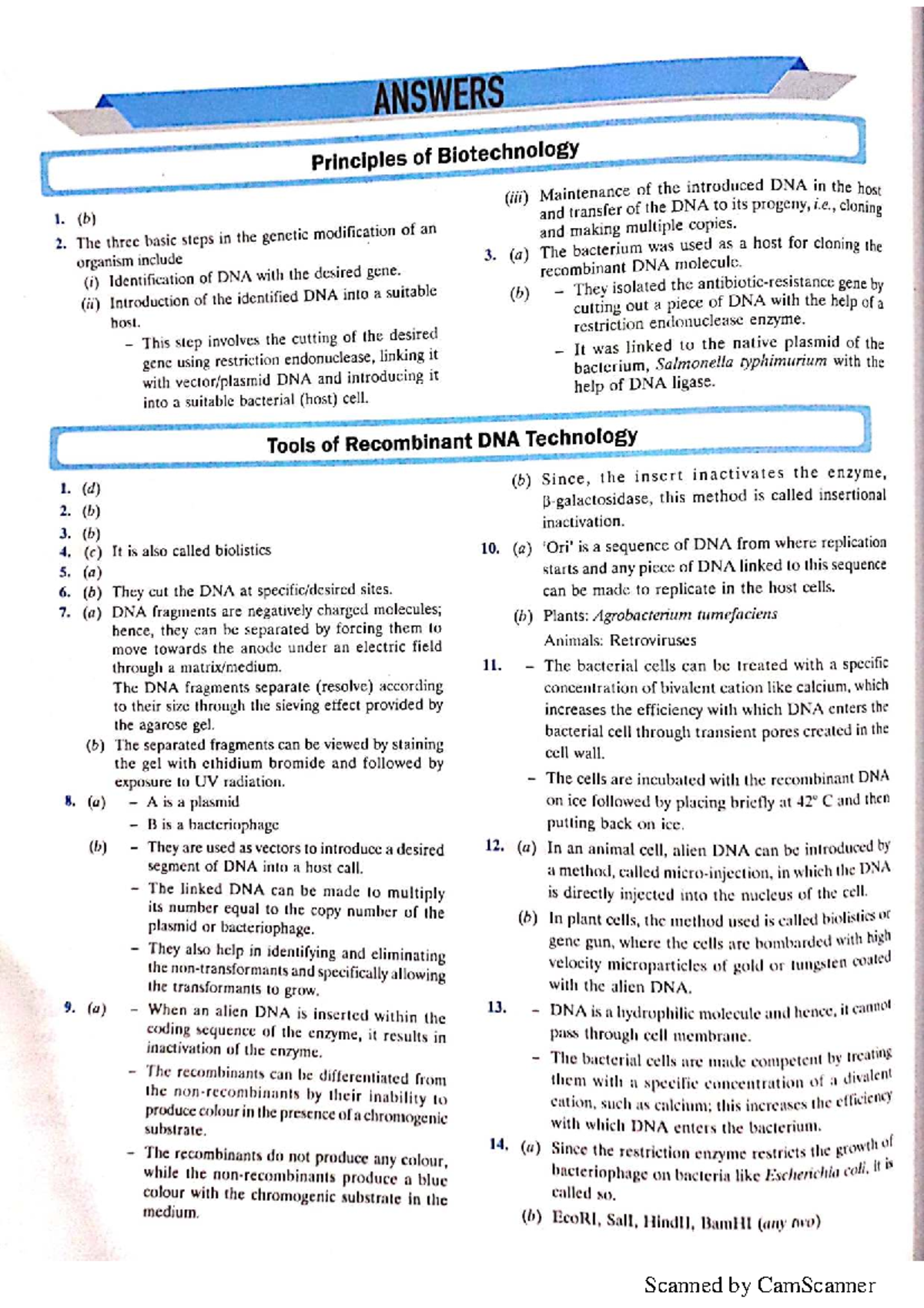 Biotechnology Principles & Processes: Answer Sheet for Exam - Studocu