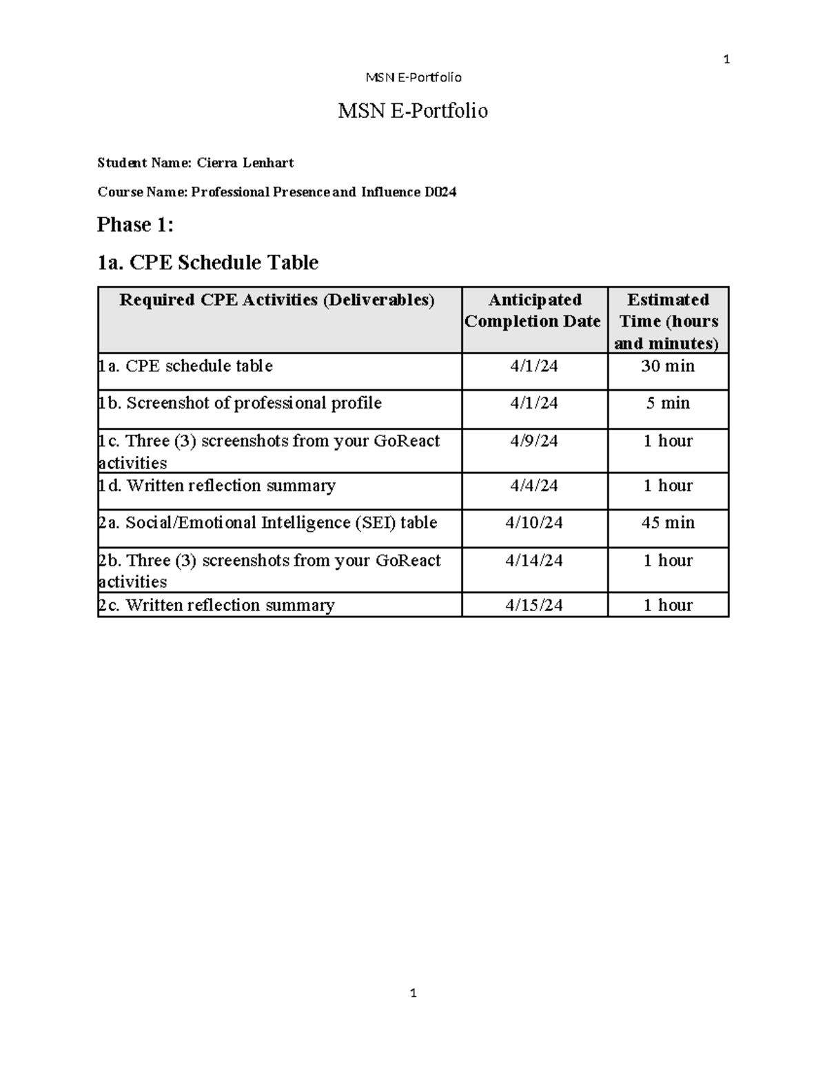 D024 MSN E-Portfolio: Professional Presence & SEI Skills Reflection ...