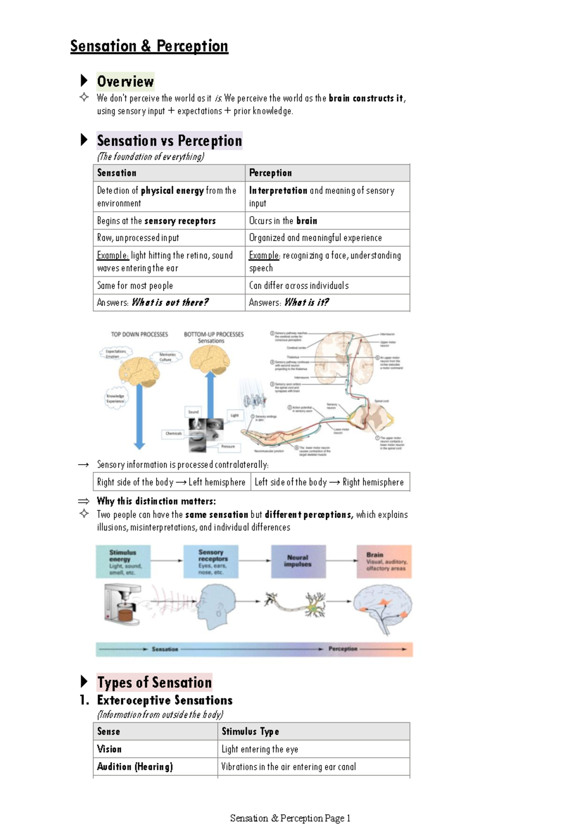 Sensation & Perception Overview: Key Concepts and Theories - Studocu