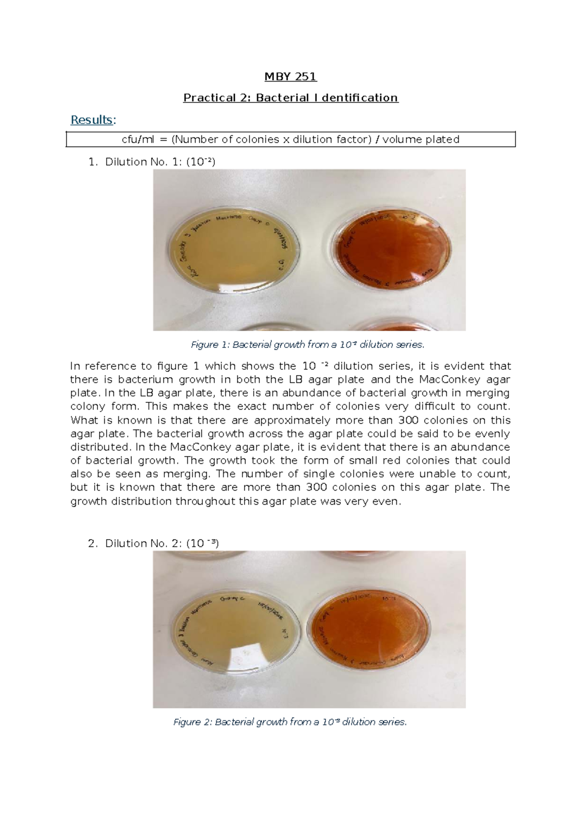 M 251 Practical 2: Bacterial Identification Results and Analysis - Studocu