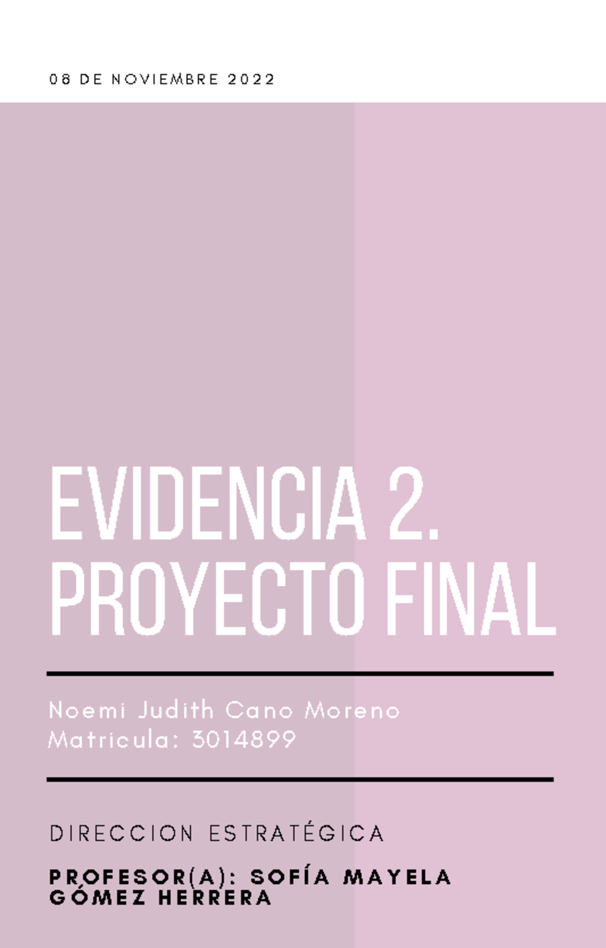 Evidencia 2: Proyecto Final en Dirección Estratégica (3014899) - Studocu