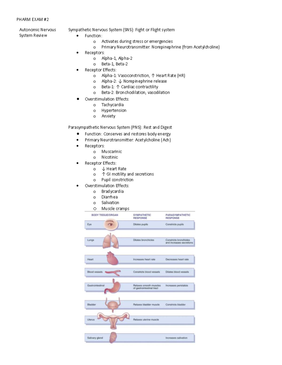 PHARM 101 Final Exam Study Guide: Autonomic Nervous System Overview ...