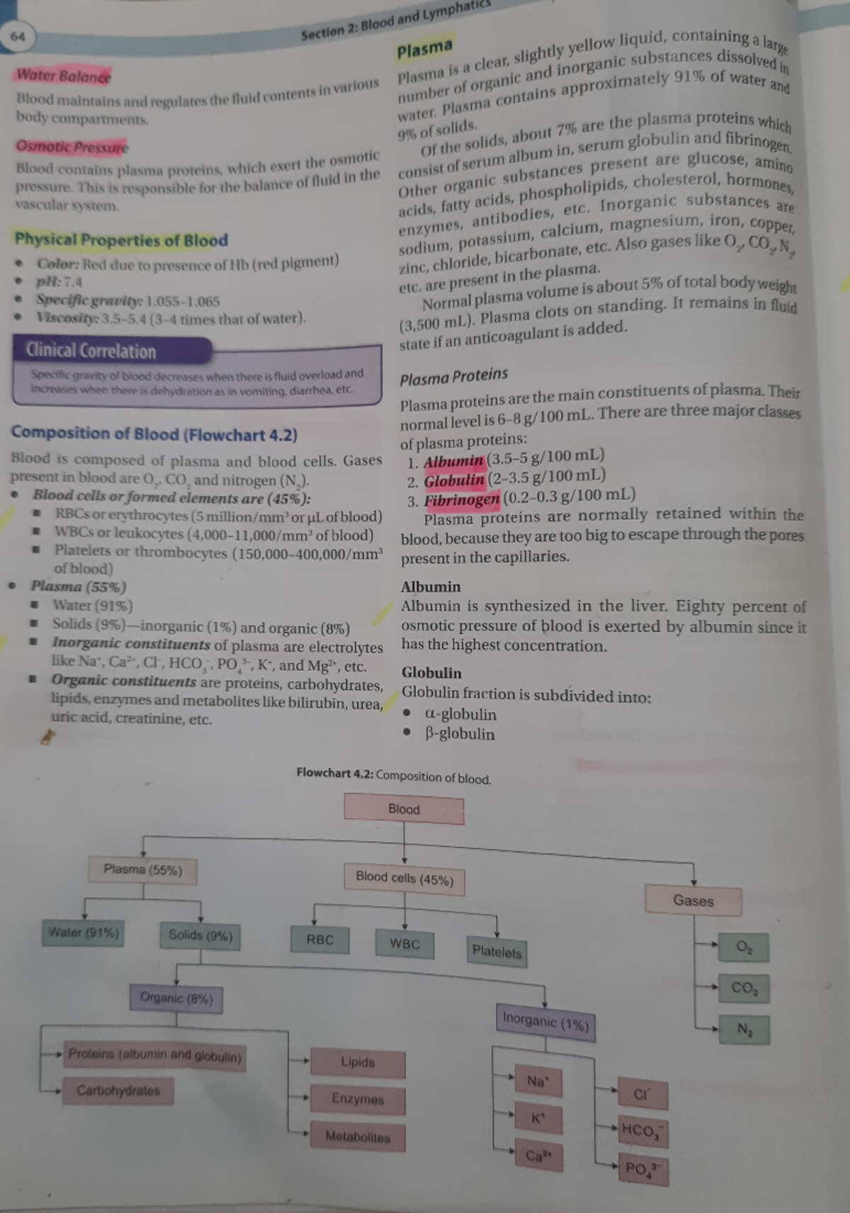 Blood Composition - Practical Notes for Biology 101 - Studocu