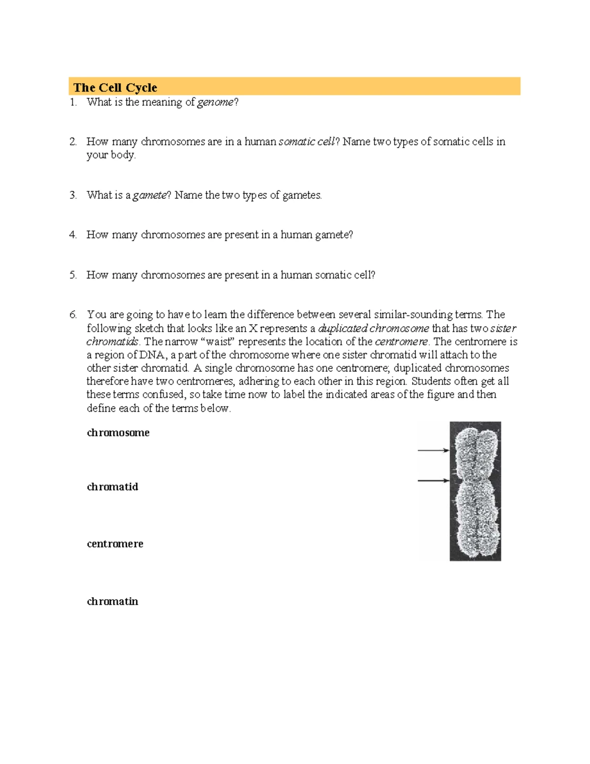 Chapter 10: Cell Reproduction Processes and Control Mechanisms ...